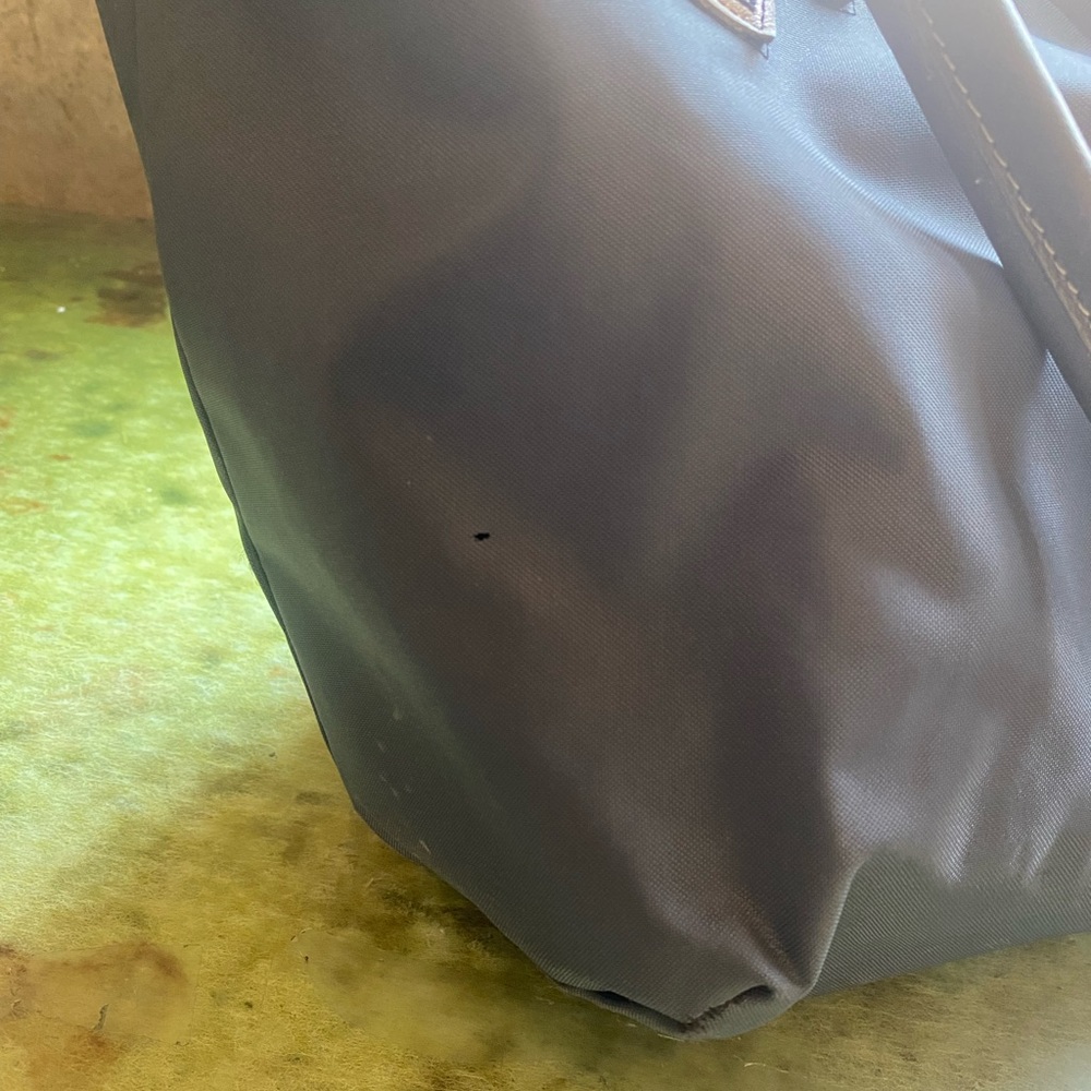 LONGCHAMP PLANETE LIMITED MADE IN FRANCE BUTTERFLY Tote CHIC FLAW COTTAGECORE - Picture 16 of 16